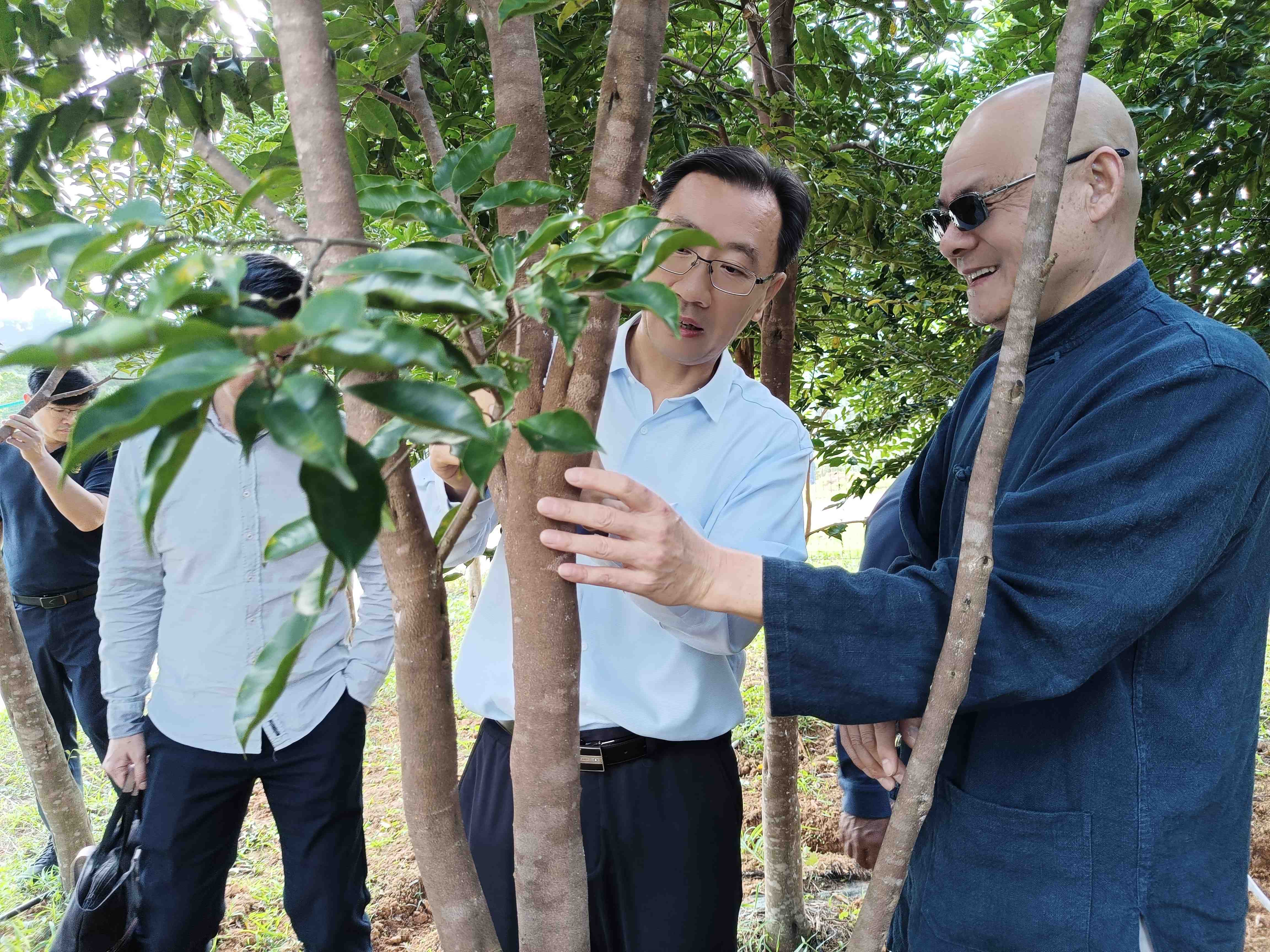 1705886149848928.jpg 1705886149848928.jpg