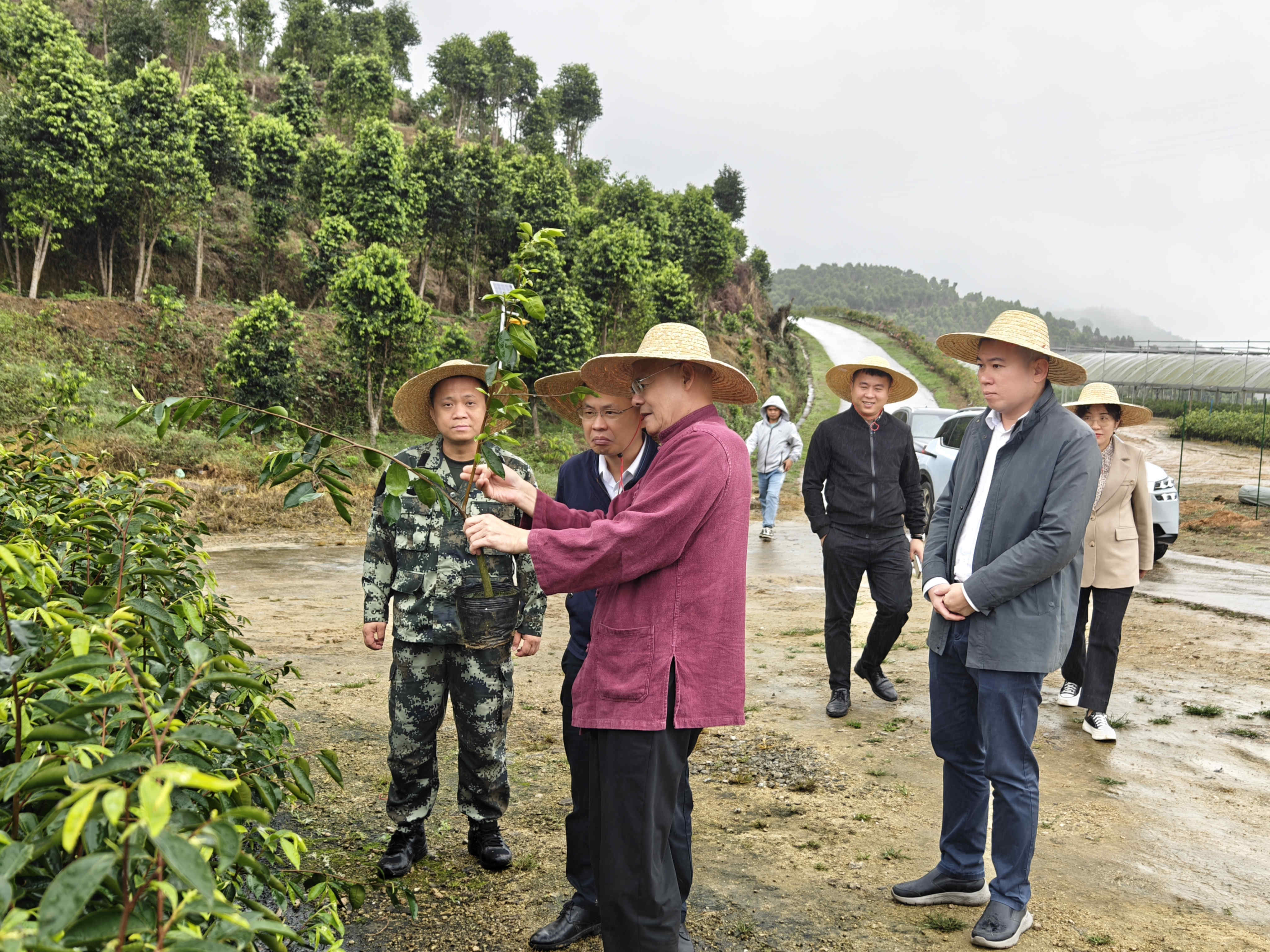 1710233376904601.jpg 1710233376904601.jpg