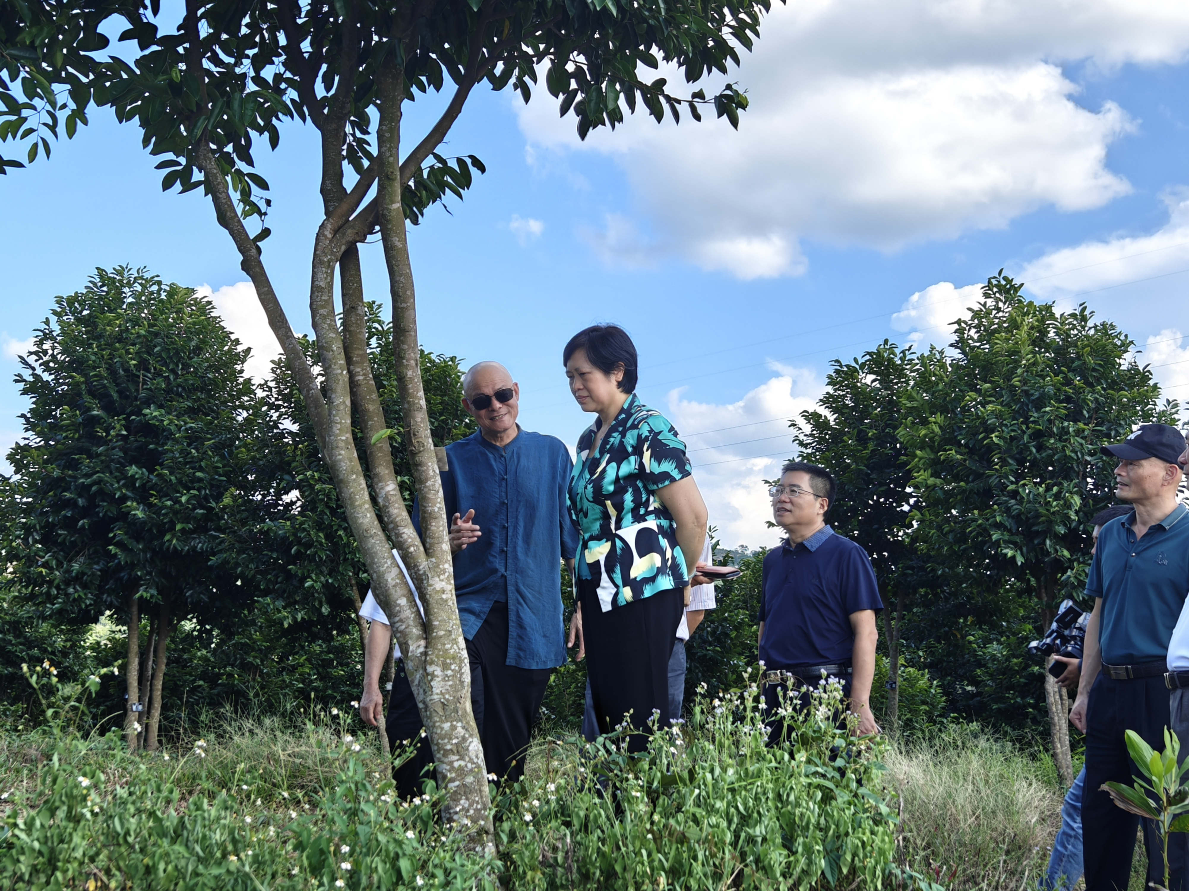 1722857441876536.jpg 1722857441876536.jpg