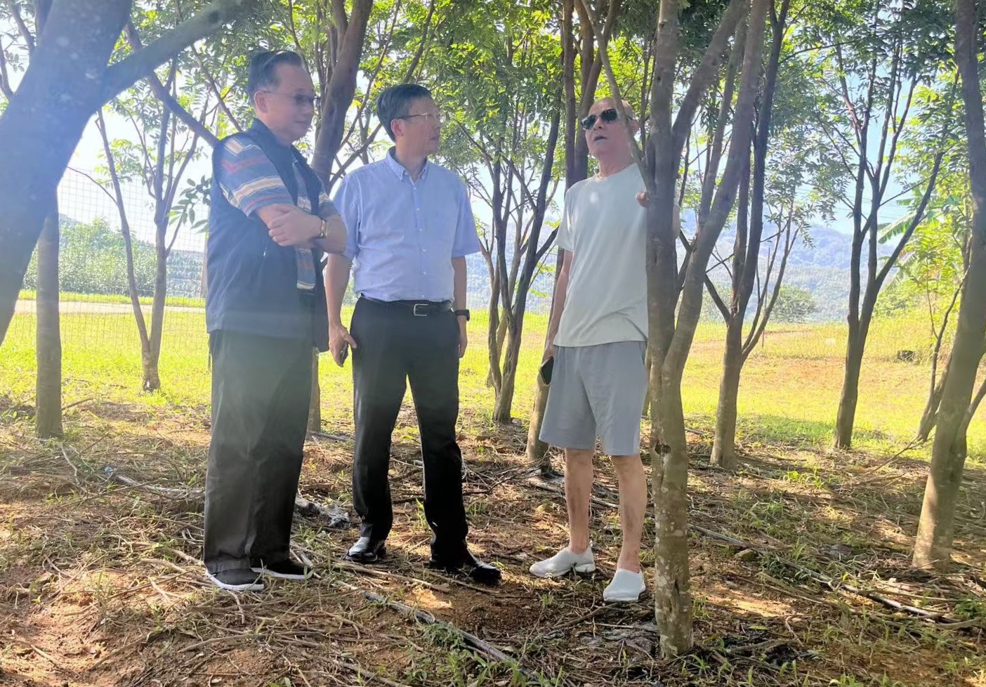 1731142115960049.jpg 1731142115960049.jpg