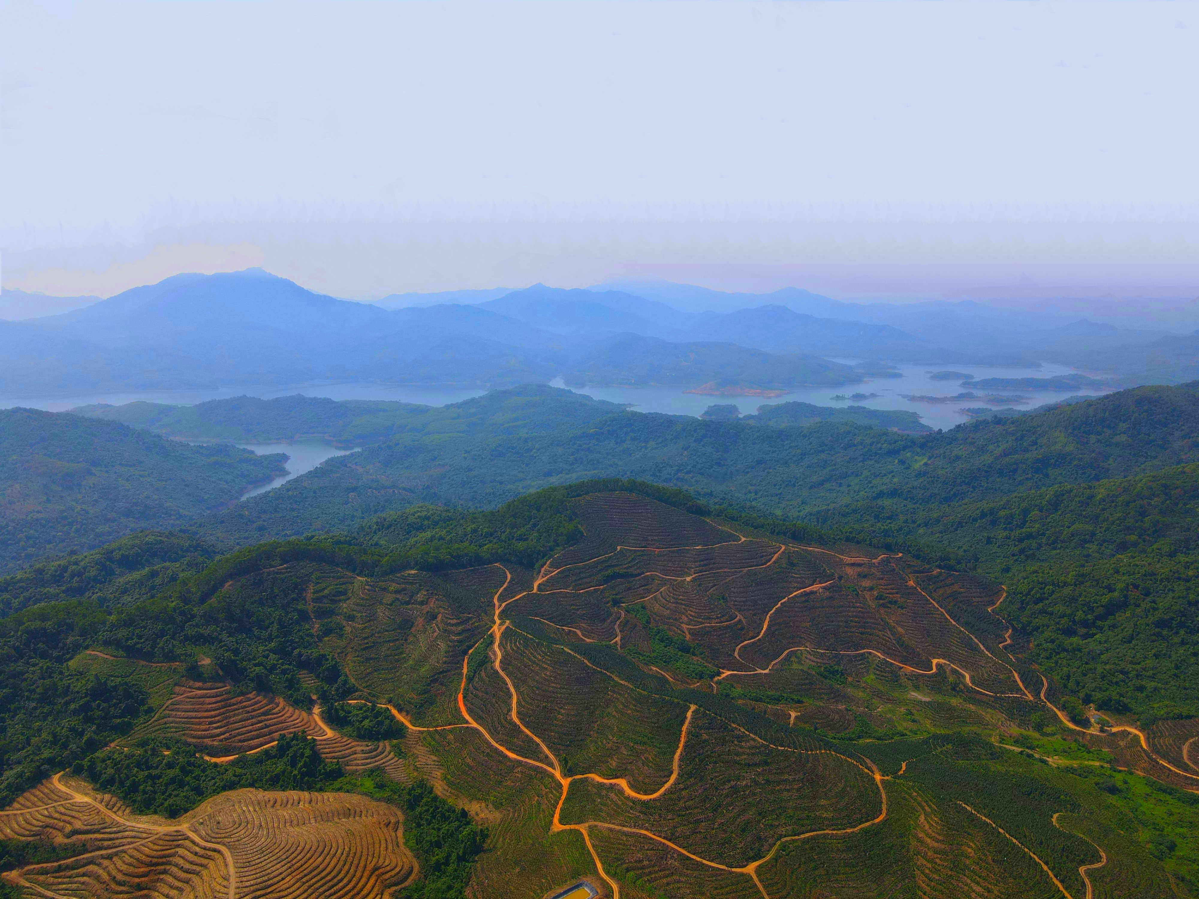 1743652847280395.jpg 1743652847280395.jpg