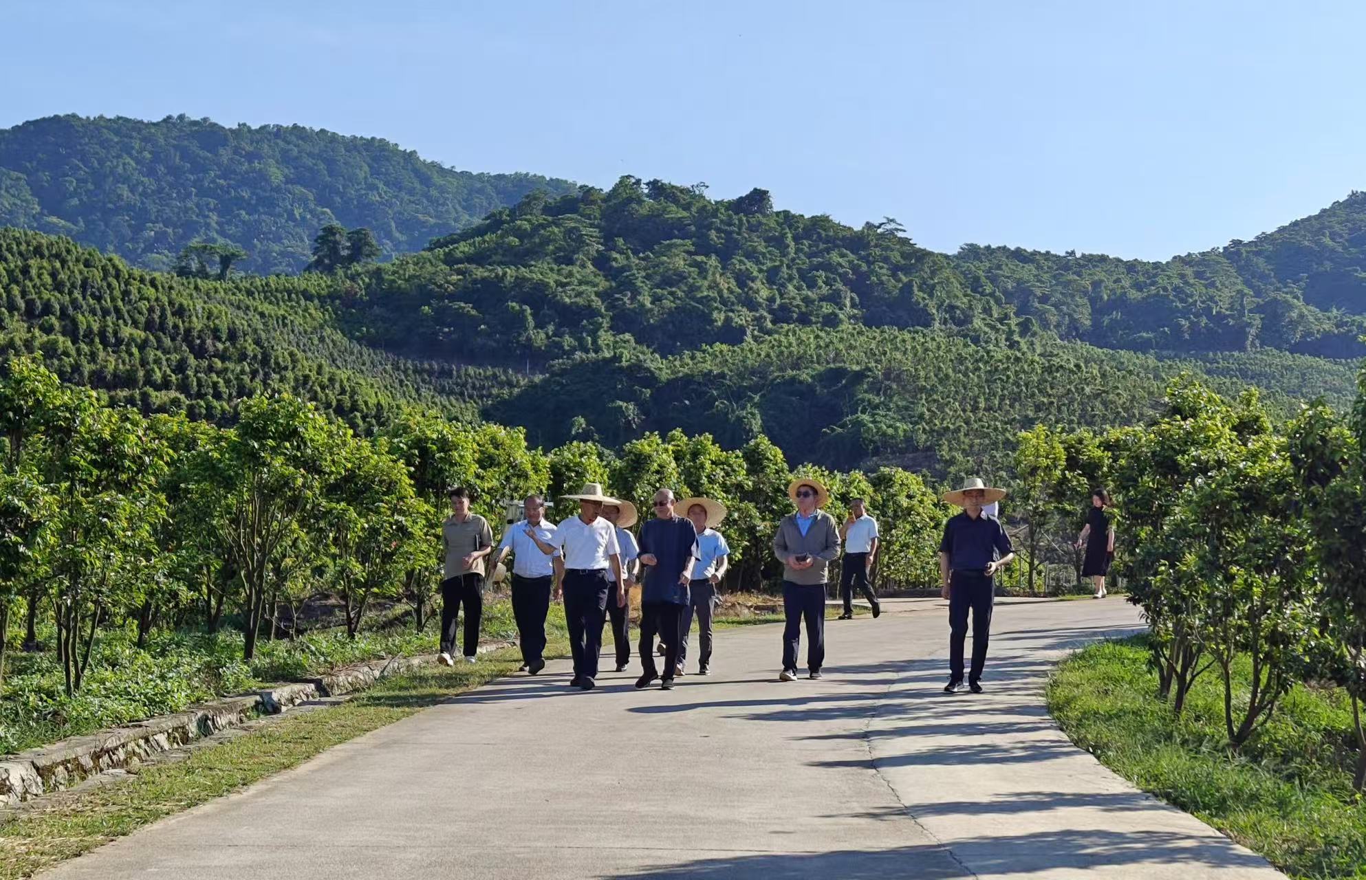 1745287630553445.jpg 1745287630553445.jpg